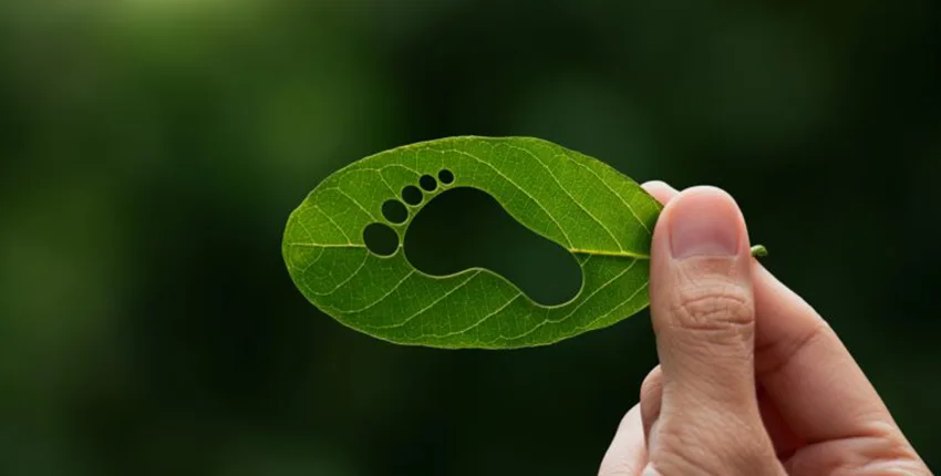 Carbon Footprint01 | | بيت العرب