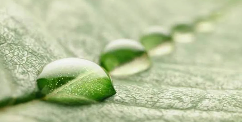 Environmental Consulting01 | | بيت العرب