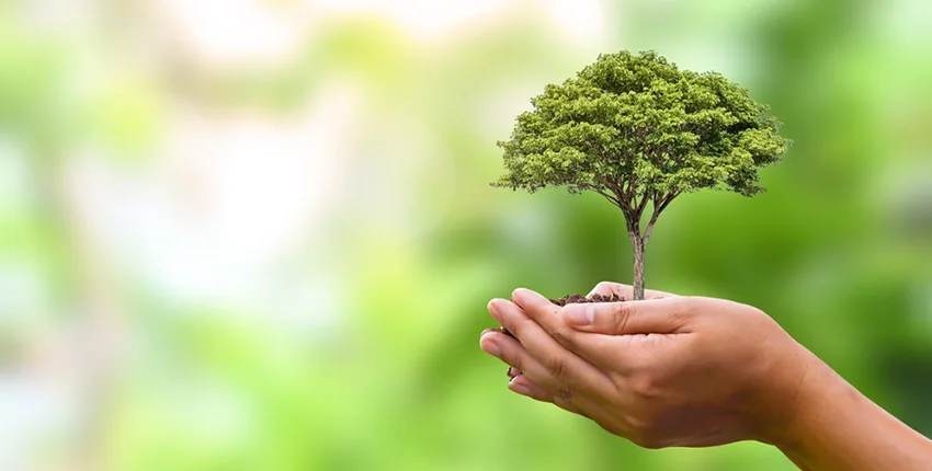 Environmental Records01 | | بيت العرب